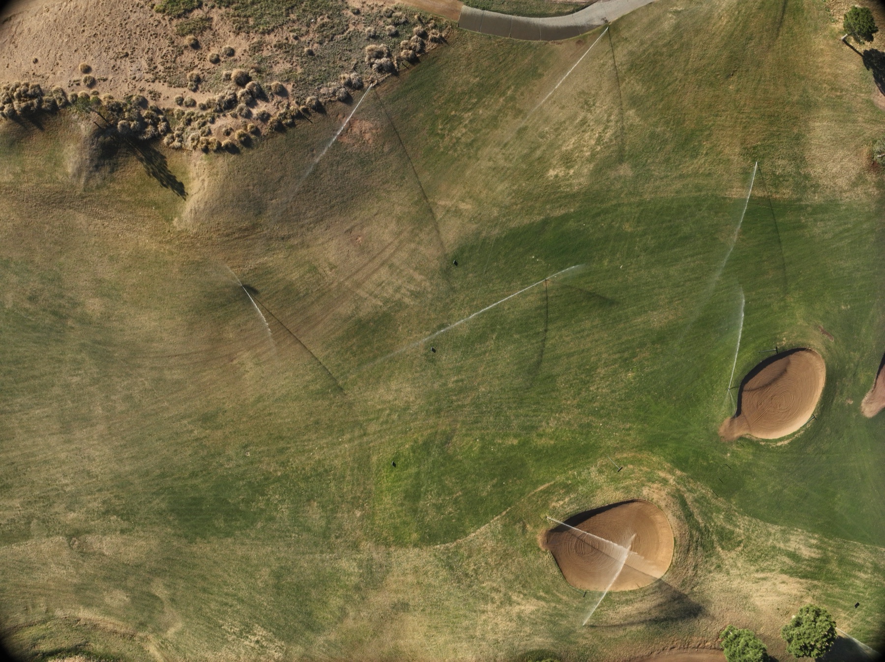 Nadir drone view of a Links Course fairway at Odessa Country Club, several irrigation heads firing with visible water arcs, two raked bunkers below.